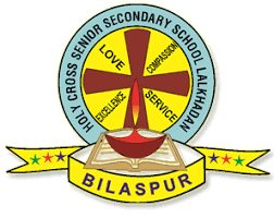 Holy Cross Senior Secondary School Company logo